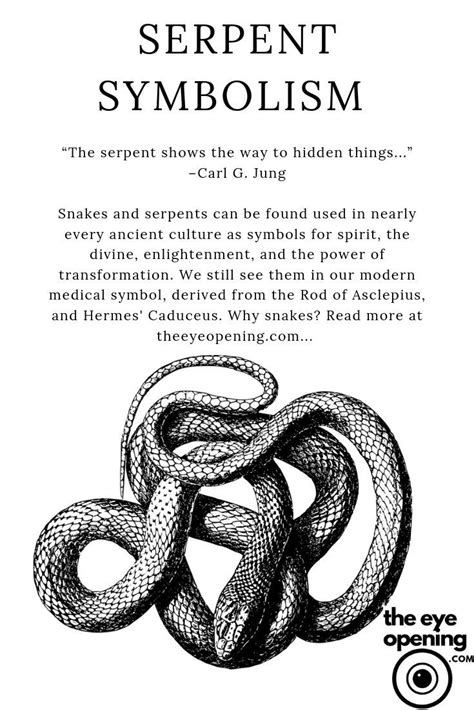 The serpents curse